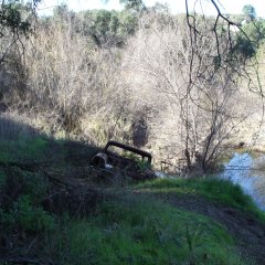 1950s Ford stationwagon wreck